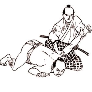 cover-image