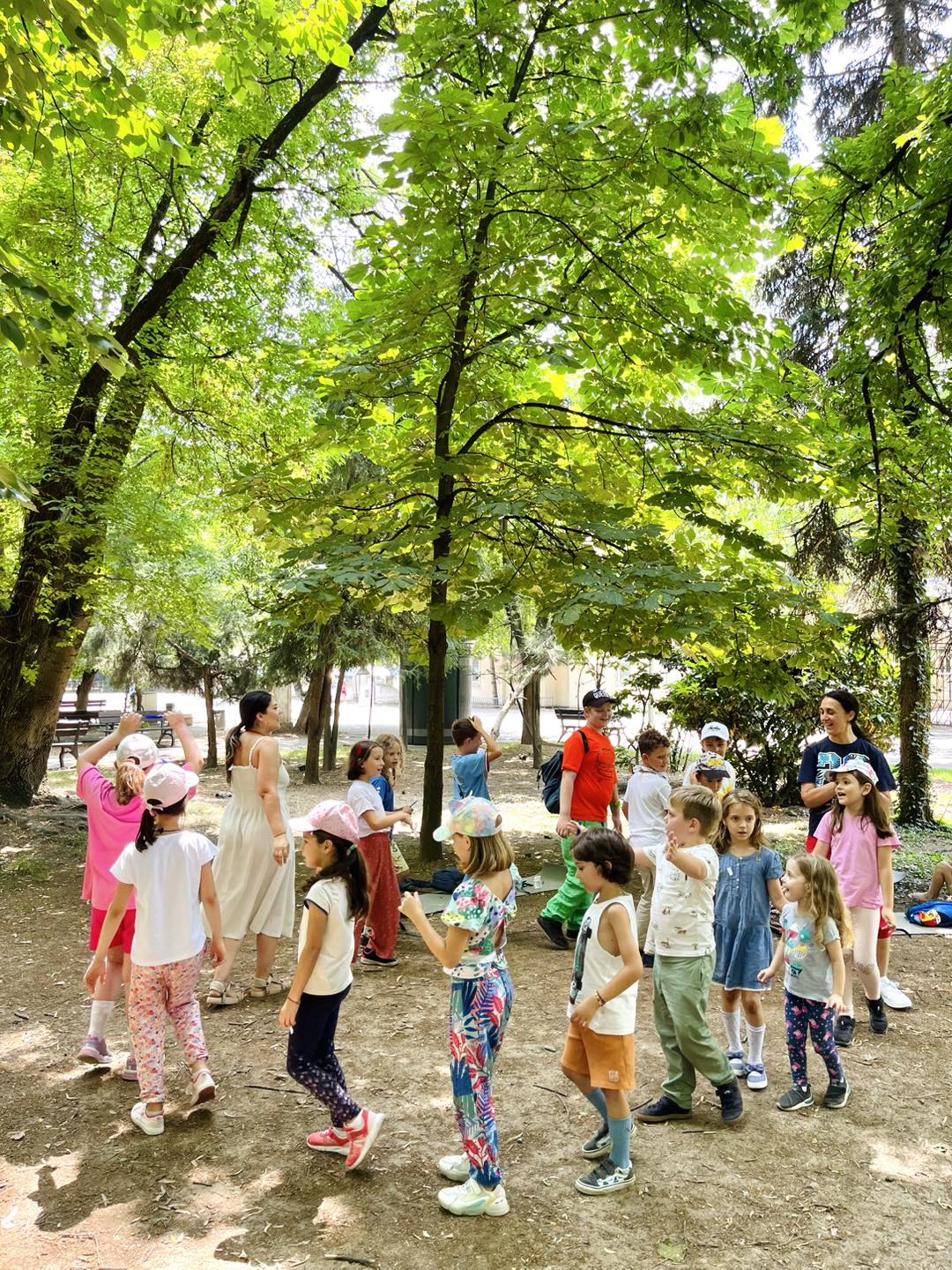 cover-image